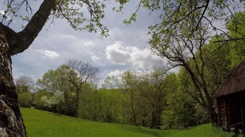 Cloud, field of spring grass and mountain Stock Footage 49930077