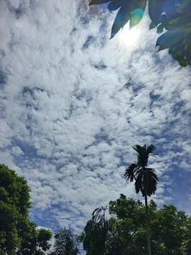 Cloud Filled Sky Altocumulus Cloudscape Blue Sky With Clouds Tropical Sky S Stock Photos
