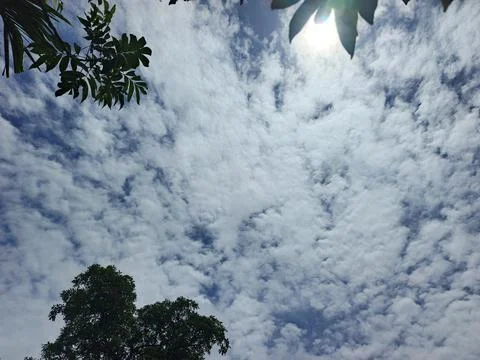 Cloud Filled Sky Altocumulus Cloudscape Blue Sky With Clouds Tropical Sky S Stock Photos