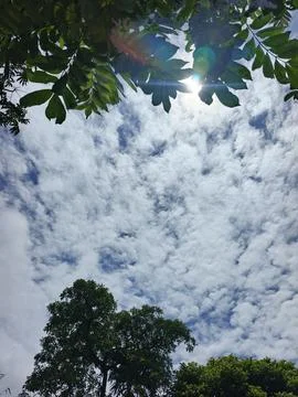 Cloud Filled Sky Altocumulus Cloudscape Blue Sky With Clouds Tropical Sky S Stock Photos