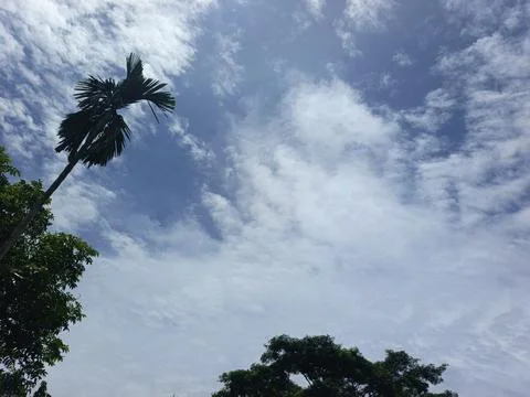 Cloud Filled Sky Altocumulus Cloudscape Blue Sky With Clouds Tropical Sky S Stock Photos