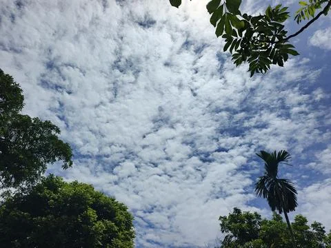 Cloud Filled Sky Altocumulus Cloudscape Blue Sky With Clouds Tropical Sky S Stock Photos