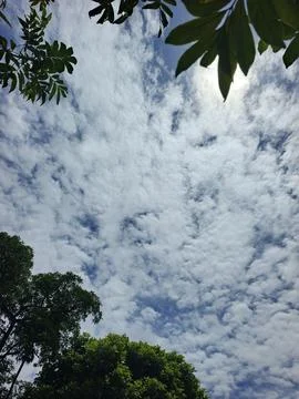 Cloud Filled Sky Altocumulus Cloudscape Blue Sky With Clouds Tropical Sky S Stock Photos
