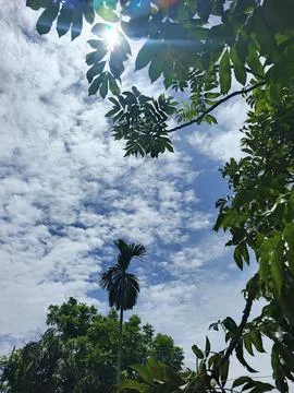 Cloud Filled Sky Altocumulus Cloudscape Blue Sky With Clouds Tropical Sky S Stock Photos