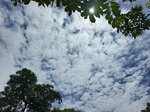 Cloud Filled Sky Altocumulus Cloudscape Blue Sky With Clouds Tropical Sky S Stock Photos