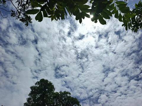 Cloud Filled Sky Altocumulus Cloudscape Blue Sky With Clouds Tropical Sky S Stock Photos