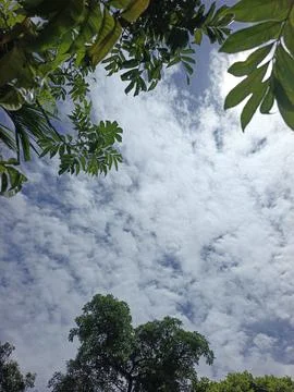 Cloud Filled Sky Altocumulus Cloudscape Blue Sky With Clouds Tropical Sky S Stock Photos