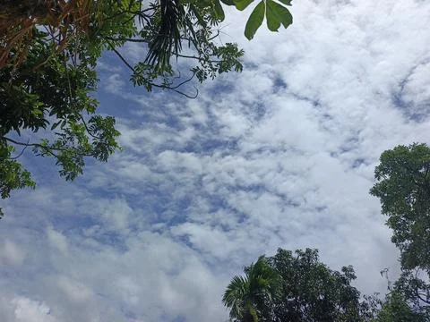 Cloud Filled Sky Altocumulus Cloudscape Blue Sky With Clouds Tropical Sky S Stock Photos