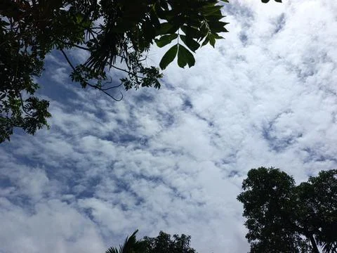 Cloud Filled Sky Altocumulus Cloudscape Blue Sky With Clouds Tropical Sky S Stock Photos