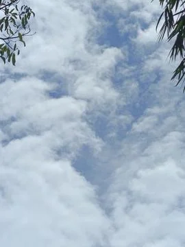 Cloud Filled Sky Altocumulus Cloudscape Blue Sky With Clouds Tropical Sky S Stock Photos