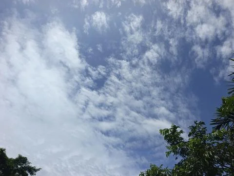 Cloud Filled Sky Altocumulus Cloudscape Blue Sky With Clouds Tropical Sky S Stock Photos