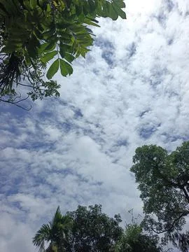 Cloud Filled Sky Altocumulus Cloudscape Blue Sky With Clouds Tropical Sky S Stock Photos