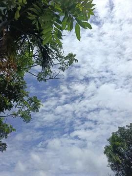Cloud Filled Sky Altocumulus Cloudscape Blue Sky With Clouds Tropical Sky S Stock Photos