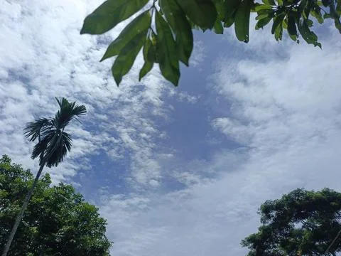Cloud Filled Sky Altocumulus Cloudscape Blue Sky With Clouds Tropical Sky S Stock Photos