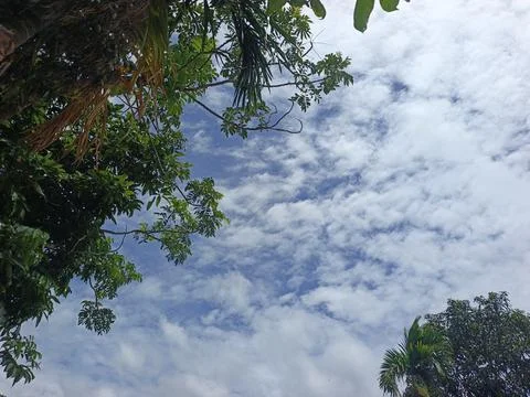 Cloud Filled Sky Altocumulus Cloudscape Blue Sky With Clouds Tropical Sky S Stock Photos