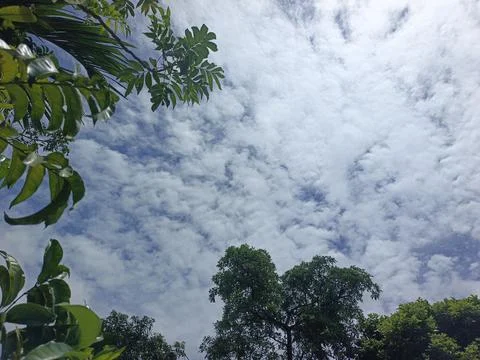 Cloud Filled Sky Altocumulus Cloudscape Blue Sky With Clouds Tropical Sky S Stock Photos