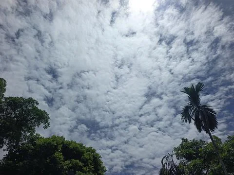 Cloud Filled Sky Altocumulus Cloudscape Blue Sky With Clouds Tropical Sky S Stock Photos
