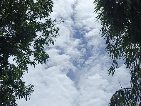 Cloud Filled Sky Altocumulus Cloudscape Blue Sky With Clouds Tropical Sky S Stock Photos