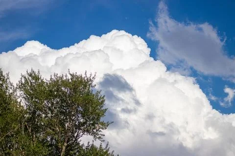 Cloud-filled sky over trees, perfect for wallpaper and background use. Stock Photos