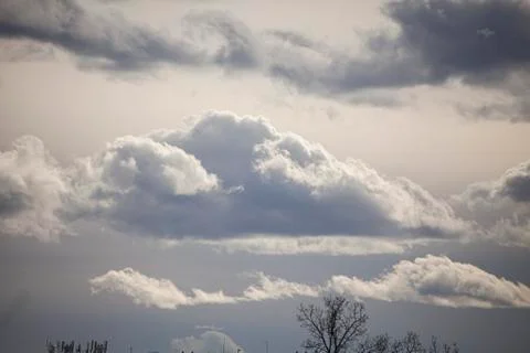A cloud is floating over a tree. Stock Photos