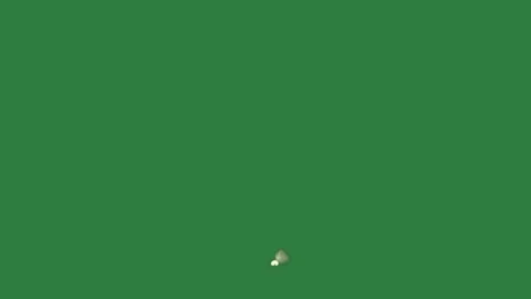 Cloud Floating With Photo - Chroma Key Green Screen Footage Stock Footage 338016896