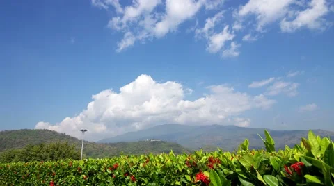Cloud flow over the bush and mountain range Stock Footage 47732275