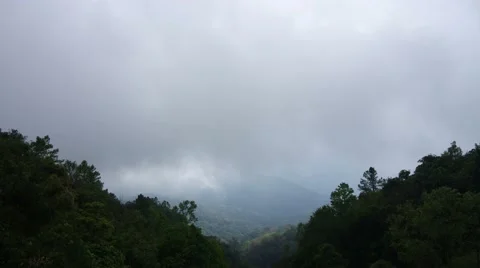 Cloud flow over the forest Stock Footage 47731695