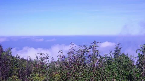 Cloud flow over the forest under the blue sky Stock Footage 47263566
