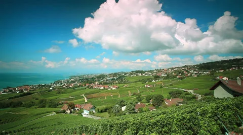 Cloud flowing on beautiful vineyard 스톡 동영상 29619356