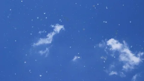 A cloud of fluff is flying and circling in the sky Video stock 82371655