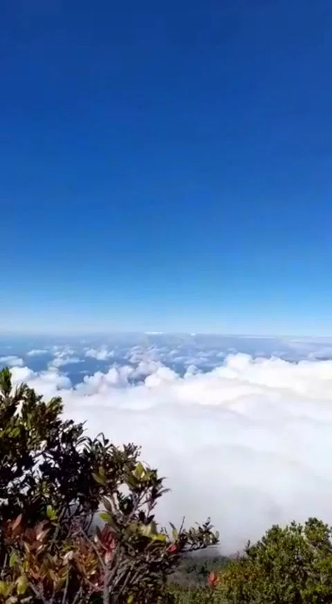 Cloud Stock Footage 229919303