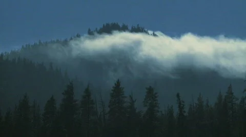 Cloud forest 1 Stock Footage 799835