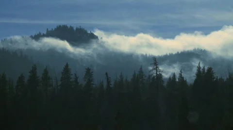 Cloud forest 2 Stock Footage 799841