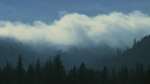 Cloud forest 3 Stock Footage 799832