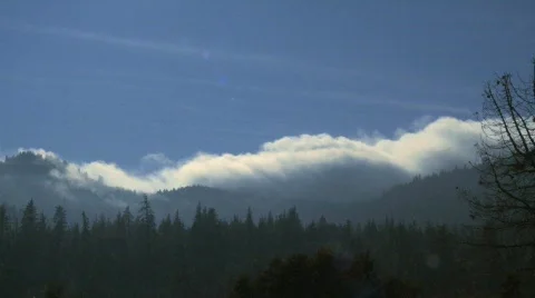 Cloud forest 4 Stock Footage 799834