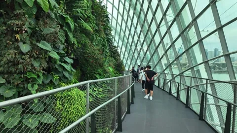 Cloud Forest conservatory Gardens by the Bay in Singapore landmark Asia Stock Footage 328940512