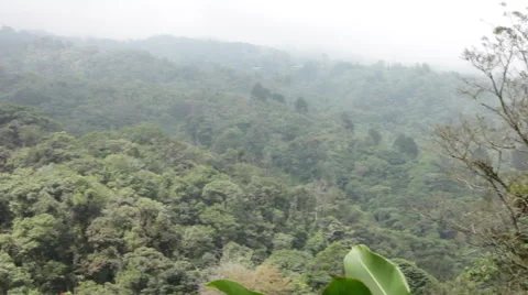 A Cloud Forest in Costa Rica Stock Footage 60952875