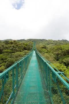 Cloud forest in Costa Rica Stock Photos