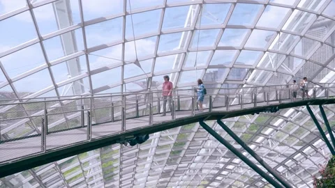 Cloud Forest Dome at Gardens by the Bay Stock Footage 139772865