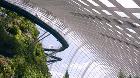 Cloud Forest Dome at Gardens by the Bay Video stock 140228484