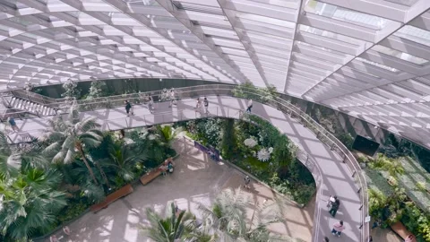 Cloud Forest Dome at Gardens by the Bay Video stock 140815988