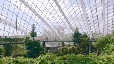 Cloud Forest Dome at Gardens by the Bay Video stock 140816021