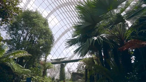 Cloud Forest Dome at Gardens by the Bay Video stock 141548825