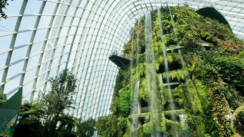 Cloud Forest Dome Gardens Video stock 96681114