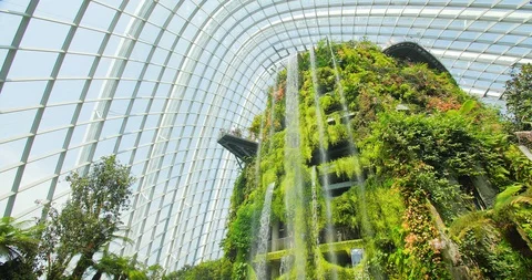 Cloud Forest Dome Gardens Stock Footage