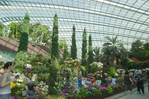  The Cloud Forest Dome inside Stock Photos