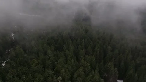 Cloud In The Forest By Drone Video stock 246738516