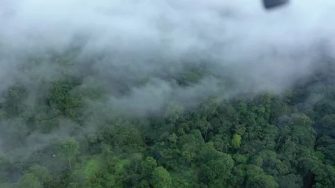 Cloud forest of Ecuador (Aerial drone footage) Stock Footage 312219106