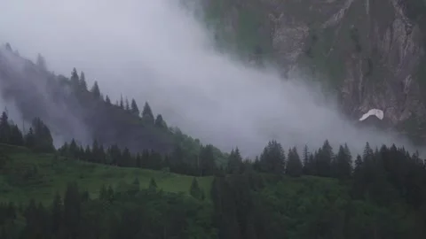 Cloud in forest Stock Footage 281238881