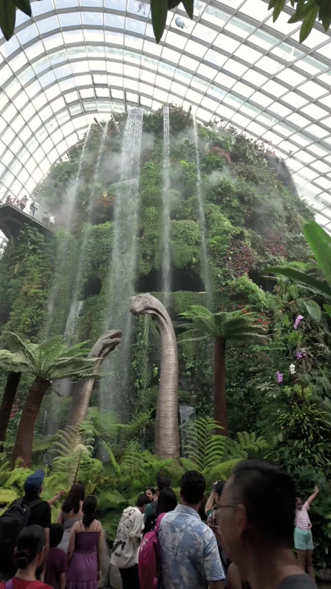 Cloud Forest Indoor Waterfall at Gardens by the Bay Singapore Stock-Footage 346987212